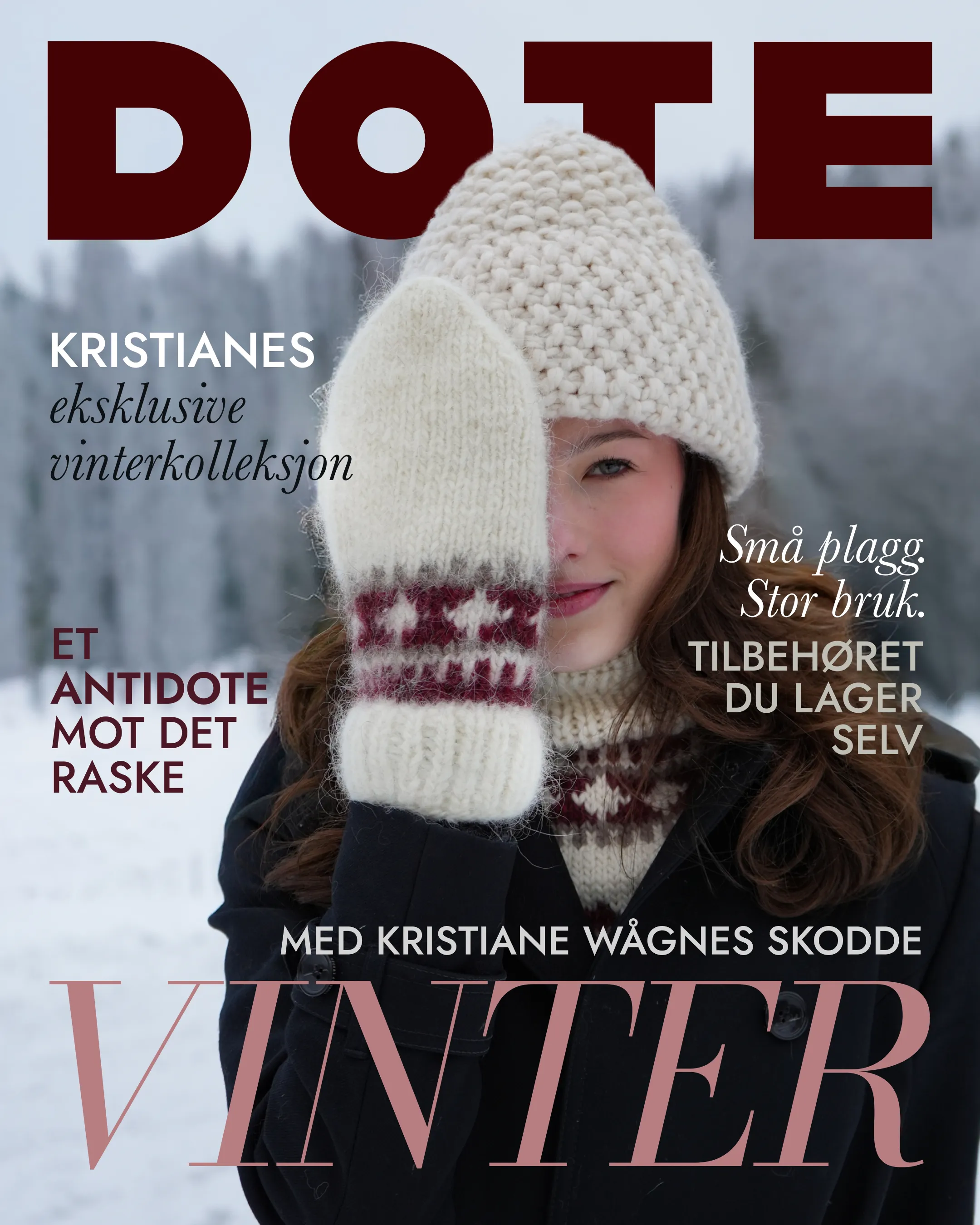 Vinter Issue